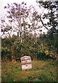 Old Milestone by the B3254, north of Launcells Cross