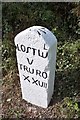 Old Milestone by the A390, between Middle & West Taphouse