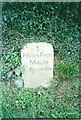 Old Milestone by the B3247, near Higher Tregantle Farm