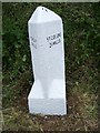 Old Milestone by the A3059, Trevithick Downs