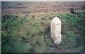 Old Milestone by the A30, south west of Fourburrow Farm