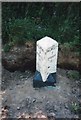 Old Milestone by the A394, Wheal Lovell Farm