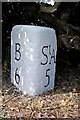 Old Milestone by the A391, north of Bugle