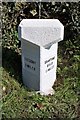 SW9148 : Old Milestone just south of the modern A390 by Ian Thompson