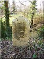 Old Milestone by the B3082, north of Blandford Forum