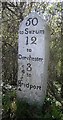 Old Milestone by the A35, west of Vinney Cross