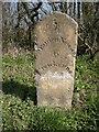 Old Milestone by the A356, south east of Corscombe Cross