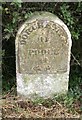 Old Milestone by the A35, south east of Bere Regis