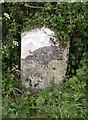 Old Milestone by the UC road, north east of Cerne Abbas