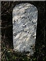 Old Milestone by the A37, Stratton