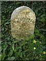 Old Milestone by the A352, Forston