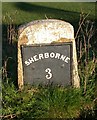 Old Milestone by the unclassified road, Poyntington Down