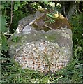 Old Milestone west of Elm Hill, north of Motcombe