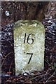 Old Milestone by the B6296, Browney Bank Gate cross roads