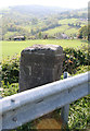 Old Milestone by the A35, north west of Shute