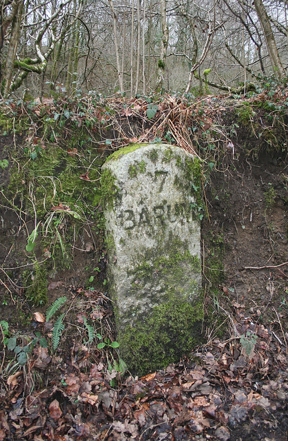 Old Milestone south of Stowford Cross
