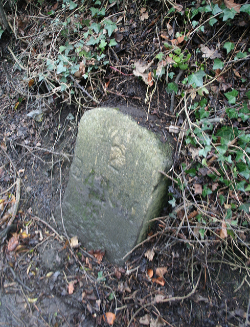 Old Milestone by the B3232, south of Roundswell