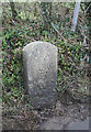 Old Milestone by the B3232, Belladown Hill, south of Rooty Cross