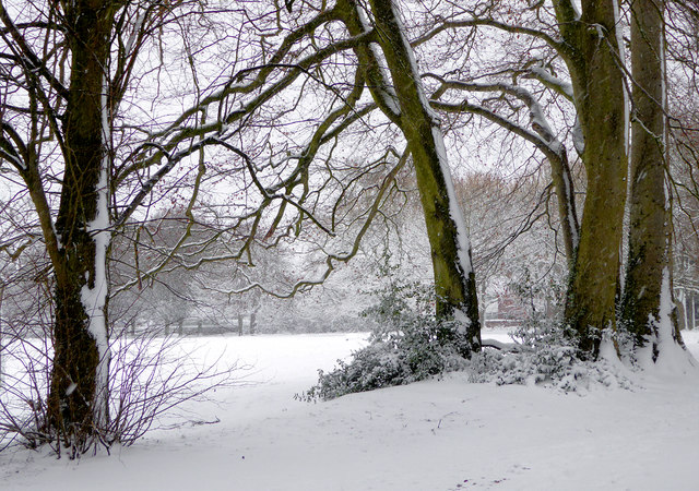 Winter scene in Muchall Park, Wolverhampton