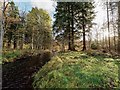 The Muckle Burn