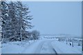 Snow Shower at Tirryside, near Lairg, Sutherland