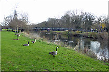 TL0549 : Footbridge, River Great Ouse, Bedford by Robin Webster