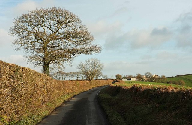 Lane approaching Barton Head