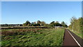 Walkway leading from Bridgwater towards St George