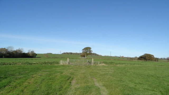 Field path leading N from Cannington Park at Wild Moor Middle Rhyne