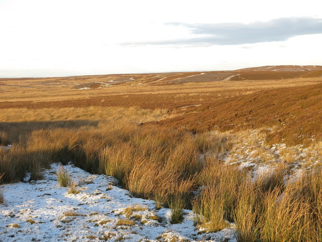 Moorland west of Crawberry Hill