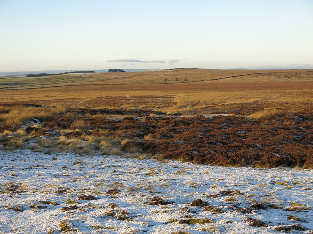 Moorland southwest of the Foumart Hills