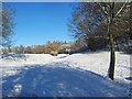 Snow in Springfield Park, Kidderminster