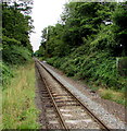 Single track railway from Chandler