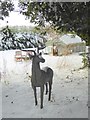 Snowy deer