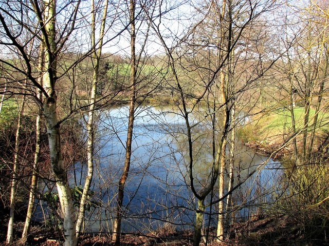 One of the small lakes at Horse & Barge Farm, Shortbridge