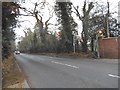 Fir Tree Avenue, Stoke Poges