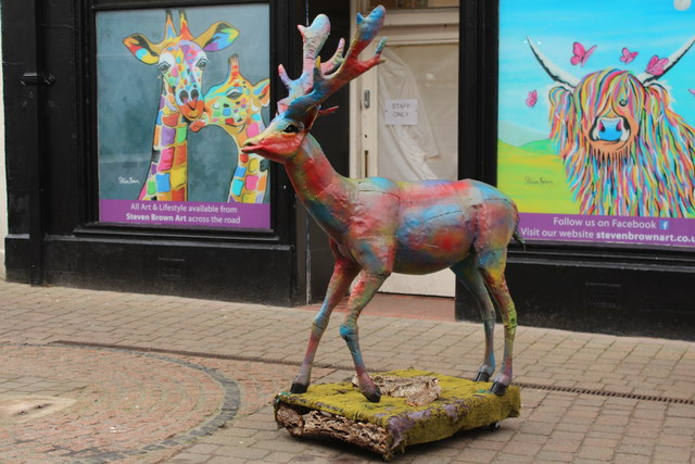 Deer at Newmarket Street, Ayr