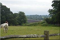 TQ3228 : View to Ouse Valley Viaduct by N Chadwick