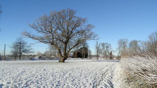 Snowy scene on field path from Stannershouse Ln towards Boults Green Farm near Sandbach