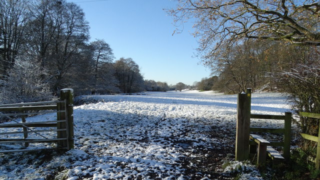 Field path E of Deanhill Farm near Hassall Green