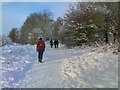 Snowy Railway