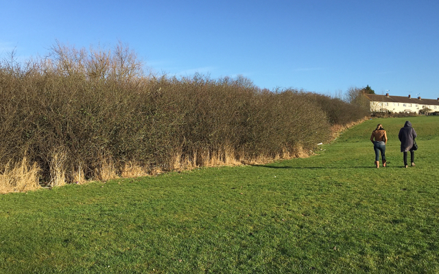 Blackthorn thicket adjoining open space, Willenhall Brookstray, southeast Coventry