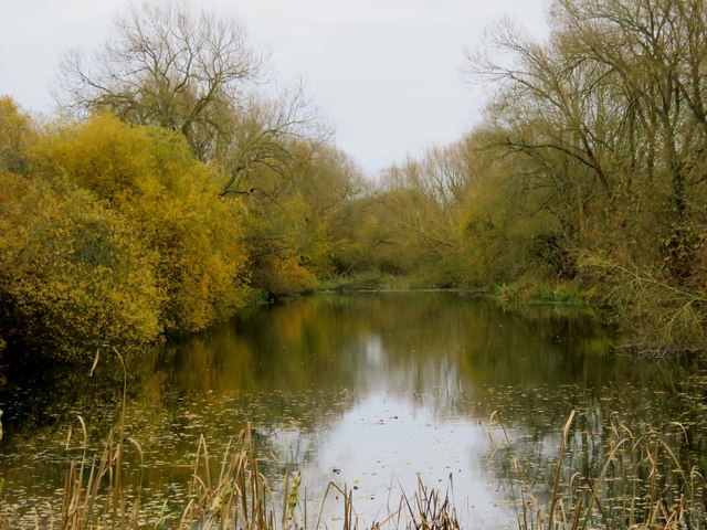 Hinksey Ponds