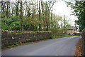 Slaymaker Lane approaching Back Wright Avenue