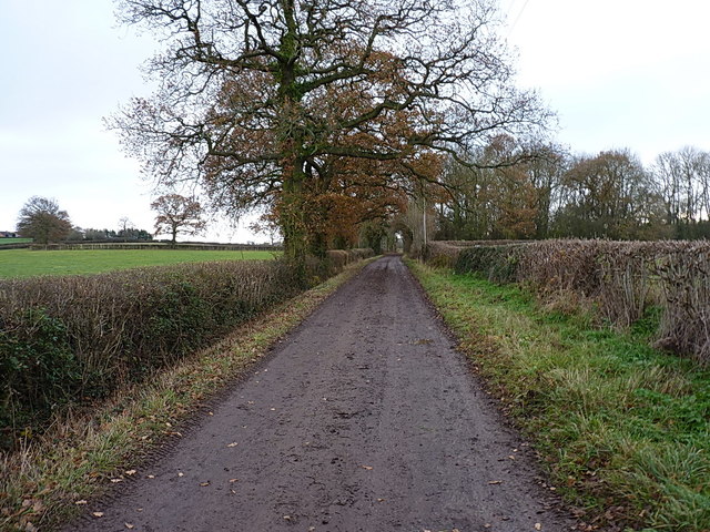 Byway running south towards Alveley