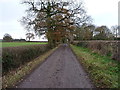 Byway running south towards Alveley