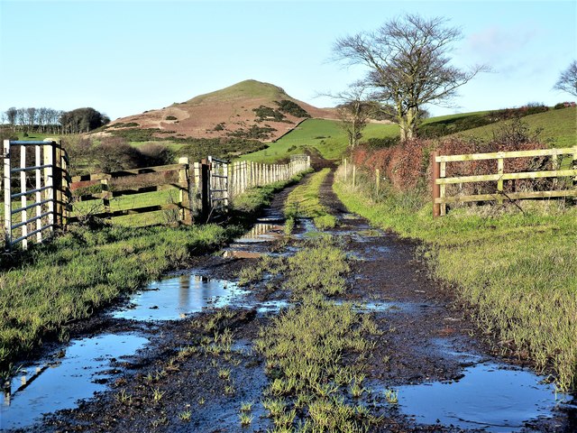 Bankhead Farm Track