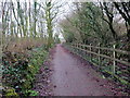 Llwybr beicio  / Cycle path