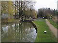 Grand Union Canal Walk