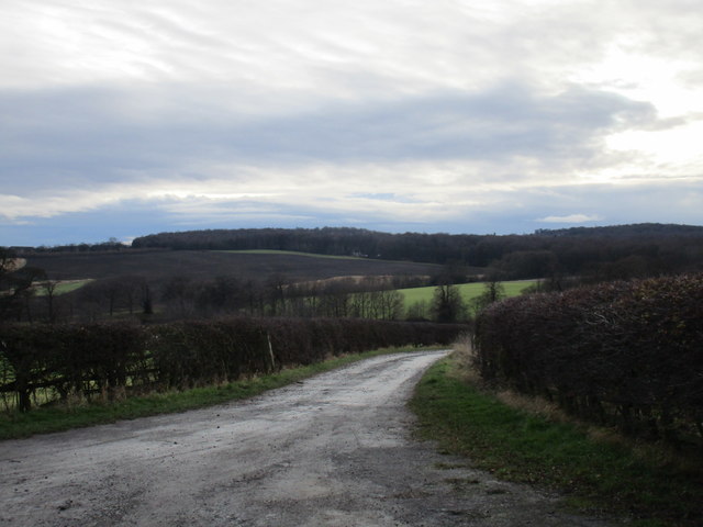 Footpath to Scholes